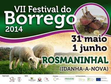 Idn festival borrego.jpg